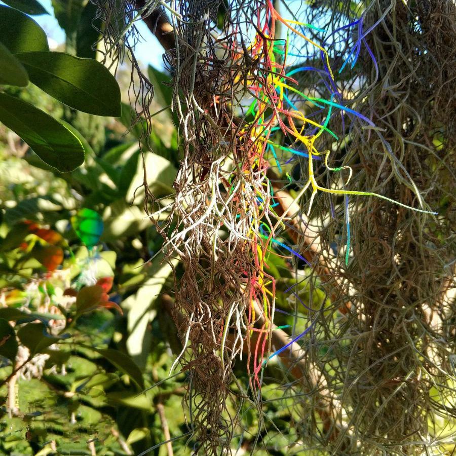 Rochas Shared Apart Garden Refuge Funchal  Exterior photo